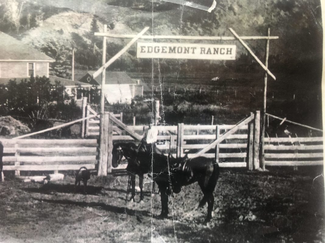 original edgemont meadows ranch